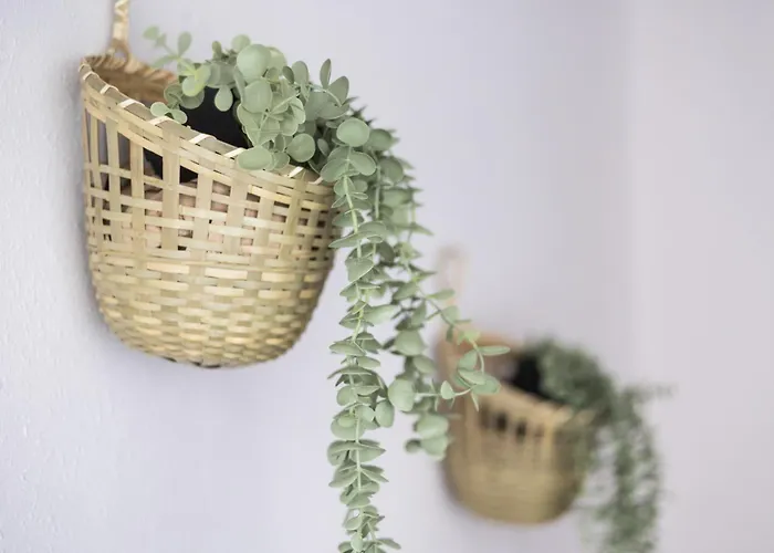 El Neru Del Marques - Plaza Garaje Gratuita - Vut5160as *