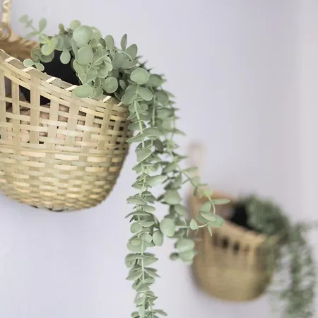 El Neru Del Marques - Plaza Garaje Gratuita - Vut5160as *